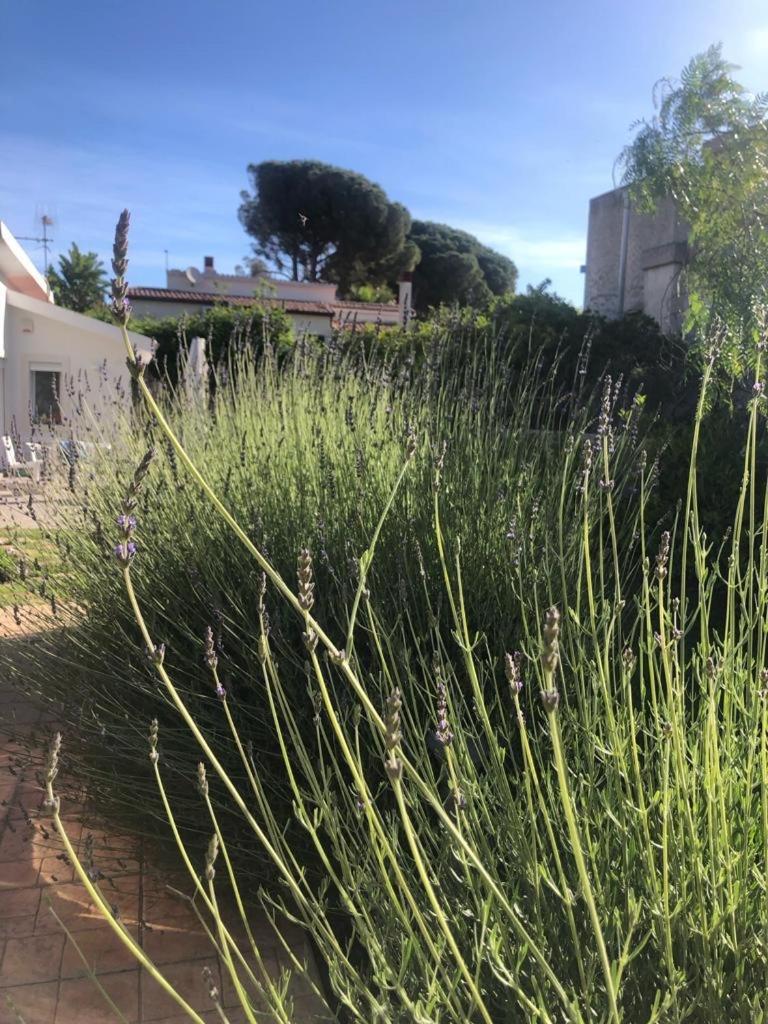 Villa Aurora E Oceano Fontane Bianche